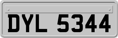 DYL5344