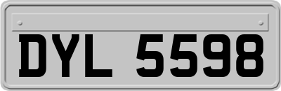 DYL5598