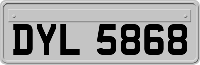 DYL5868