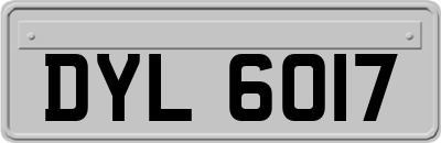 DYL6017