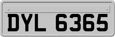 DYL6365