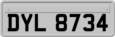 DYL8734