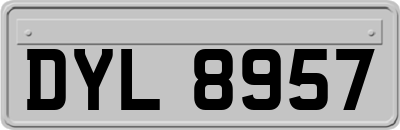 DYL8957