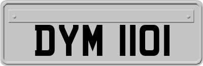 DYM1101