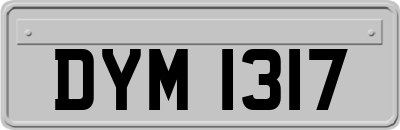 DYM1317