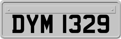 DYM1329
