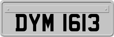 DYM1613