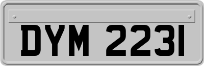 DYM2231