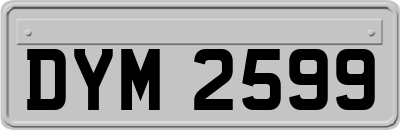 DYM2599
