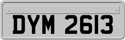 DYM2613