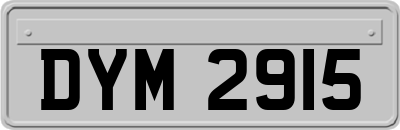 DYM2915