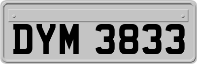 DYM3833