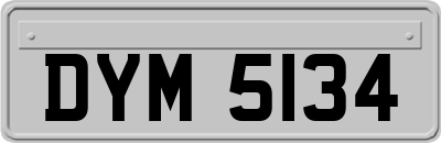 DYM5134