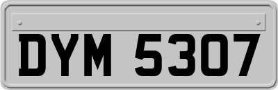 DYM5307