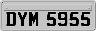 DYM5955