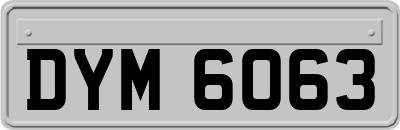 DYM6063