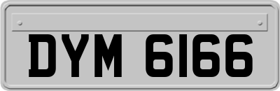 DYM6166