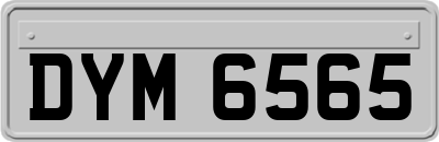 DYM6565