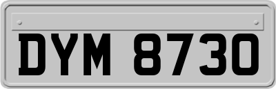 DYM8730