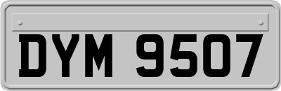 DYM9507