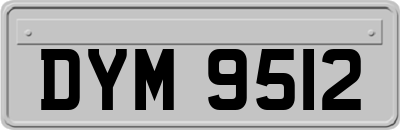 DYM9512