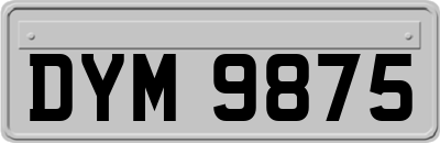DYM9875