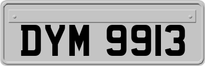 DYM9913