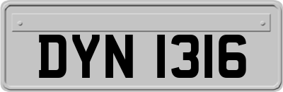 DYN1316
