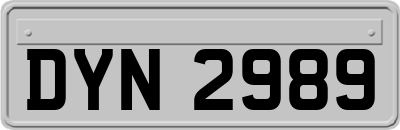 DYN2989