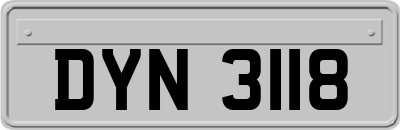 DYN3118