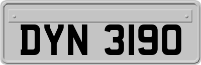 DYN3190
