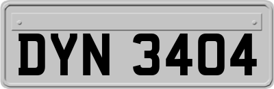 DYN3404