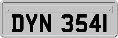 DYN3541