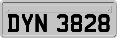 DYN3828