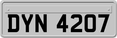 DYN4207