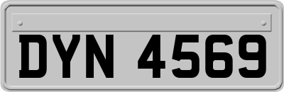 DYN4569