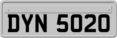 DYN5020