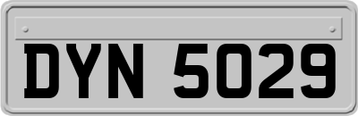 DYN5029