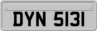 DYN5131