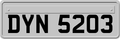 DYN5203