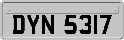 DYN5317