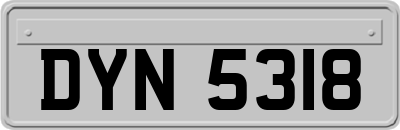 DYN5318