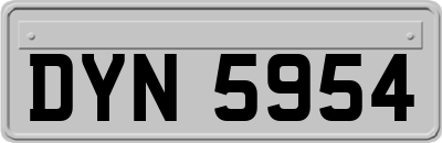 DYN5954