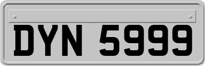 DYN5999