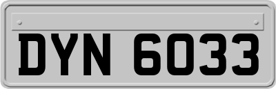 DYN6033
