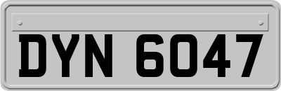 DYN6047