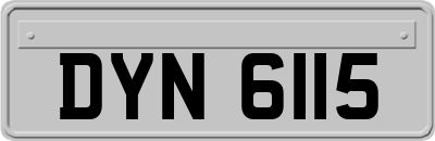 DYN6115