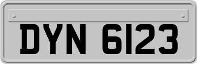 DYN6123