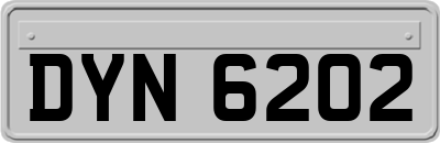 DYN6202