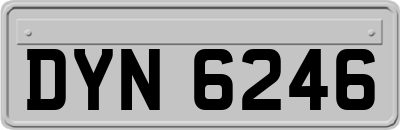 DYN6246